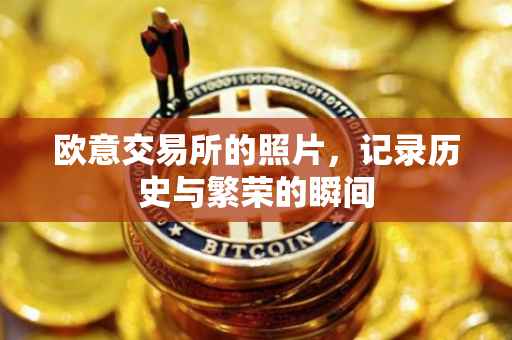 欧意交易所的照片，记录历史与繁荣的瞬间