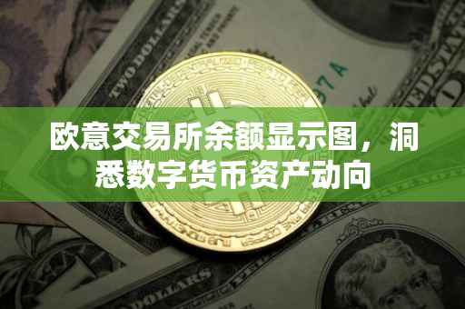 欧意交易所余额显示图，洞悉数字货币资产动向