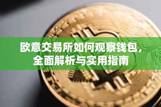 欧意交易所如何观察钱包，全面解析与实用指南