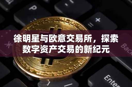 徐明星与欧意交易所，探索数字资产交易的新纪元