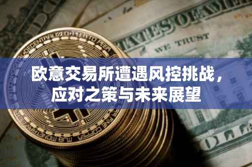 欧意交易所遭遇风控挑战，应对之策与未来展望