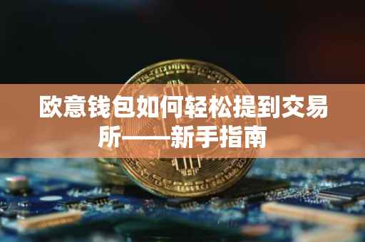 欧意钱包如何轻松提到交易所——新手指南