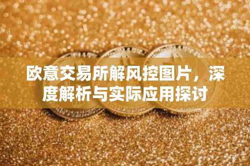 欧意交易所解风控图片，深度解析与实际应用探讨