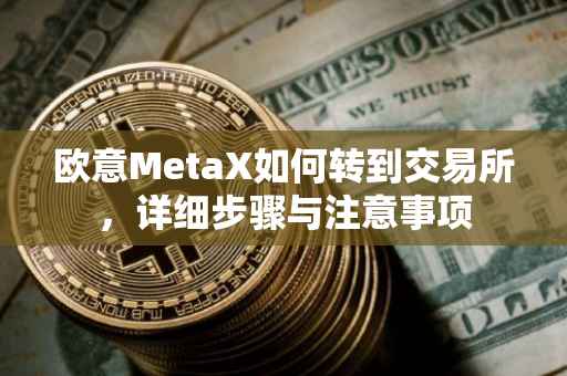 欧意MetaX如何转到交易所，详细步骤与注意事项