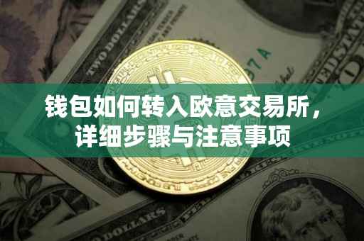 钱包如何转入欧意交易所，详细步骤与注意事项
