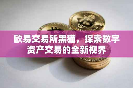 欧易交易所黑猫，探索数字资产交易的全新视界