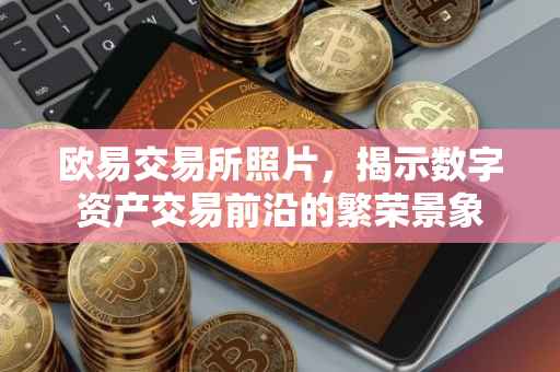 欧易交易所照片，揭示数字资产交易前沿的繁荣景象