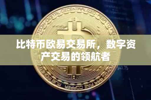 比特币欧易交易所，数字资产交易的领航者