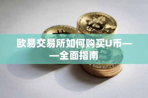 欧易交易所如何购买U币——全面指南