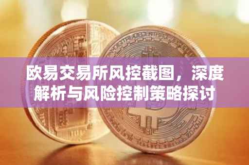 欧易交易所风控截图，深度解析与风险控制策略探讨