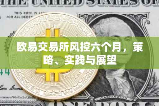 欧易交易所风控六个月，策略、实践与展望