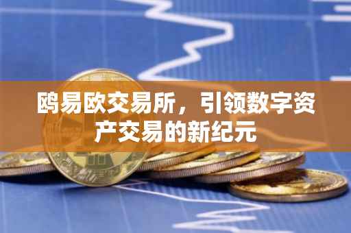鸥易欧交易所，引领数字资产交易的新纪元