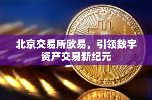 北京交易所欧易，引领数字资产交易新纪元