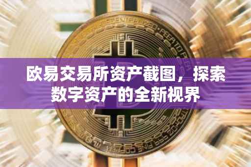 欧易交易所资产截图，探索数字资产的全新视界