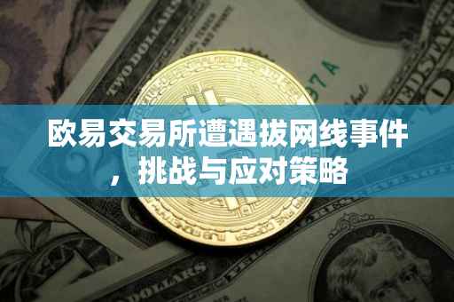 欧易交易所遭遇拔网线事件，挑战与应对策略