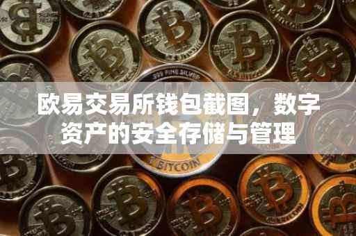 欧易交易所钱包截图，数字资产的安全存储与管理