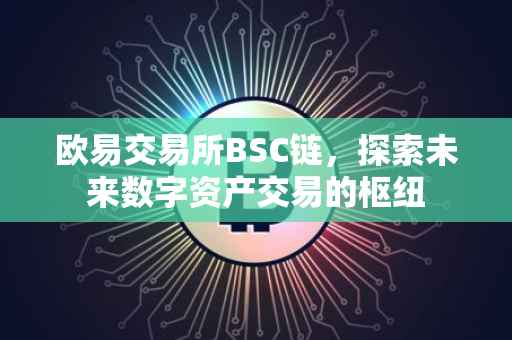 欧易交易所BSC链，探索未来数字资产交易的枢纽