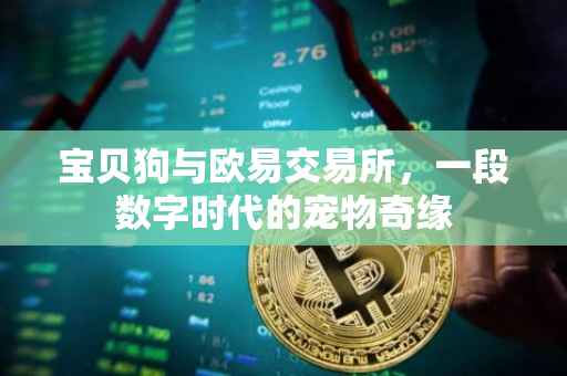 宝贝狗与欧易交易所，一段数字时代的宠物奇缘