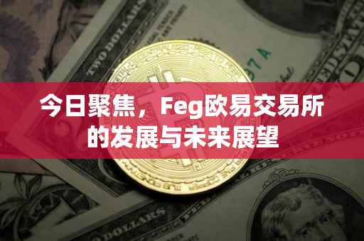 今日聚焦，Feg欧易交易所的发展与未来展望