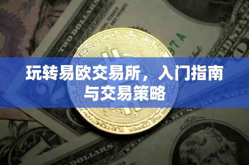 玩转易欧交易所，入门指南与交易策略
