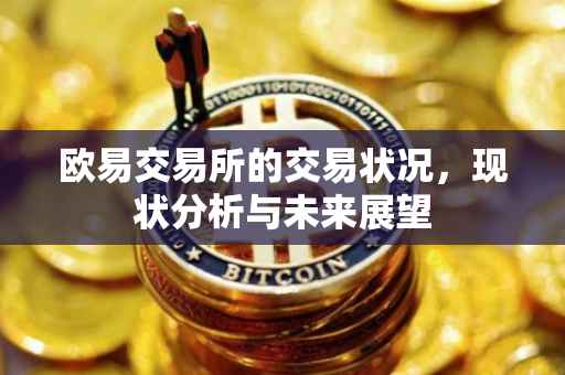 欧易交易所的交易状况，现状分析与未来展望