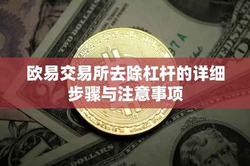 欧易交易所去除杠杆的详细步骤与注意事项
