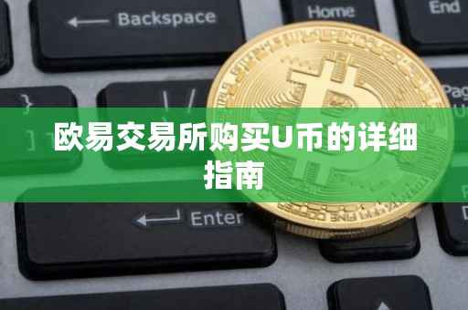欧易交易所购买U币的详细指南