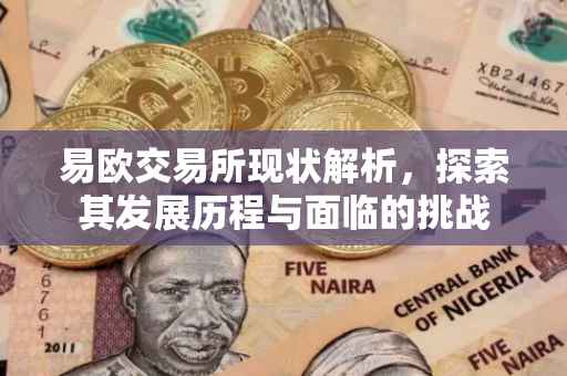 易欧交易所现状解析，探索其发展历程与面临的挑战