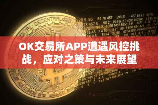 OK交易所APP遭遇风控挑战，应对之策与未来展望