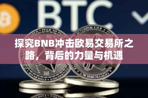 探究BNB冲击欧易交易所之路，背后的力量与机遇