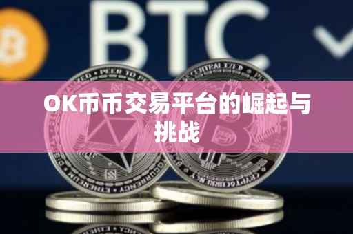 OK币币交易平台的崛起与挑战