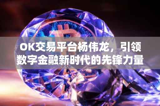 OK交易平台杨伟龙，引领数字金融新时代的先锋力量