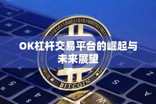 OK杠杆交易平台的崛起与未来展望