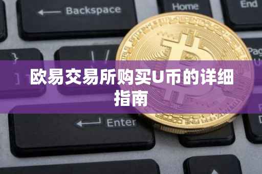 欧易交易所购买U币的详细指南