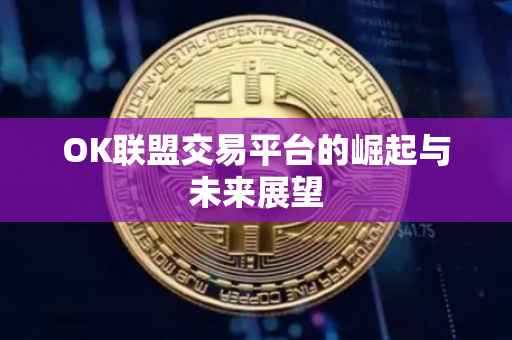 OK联盟交易平台的崛起与未来展望