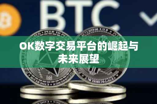 OK数字交易平台的崛起与未来展望