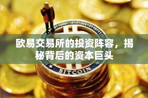 欧易交易所的投资阵容，揭秘背后的资本巨头