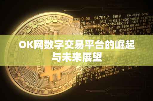 OK网数字交易平台的崛起与未来展望
