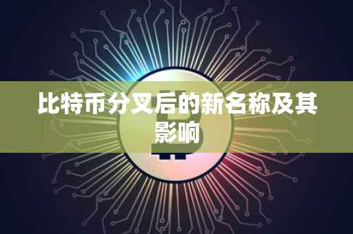 比特币分叉后的新名称及其影响