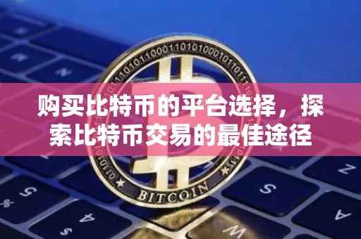购买比特币的平台选择，探索比特币交易的最佳途径