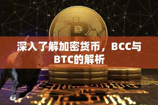 深入了解加密货币，BCC与BTC的解析