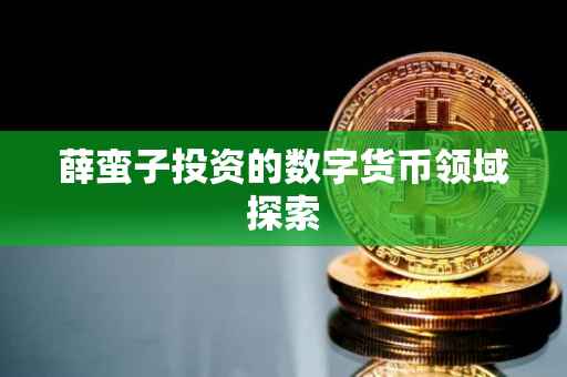 薛蛮子投资的数字货币领域探索