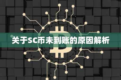 关于SC币未到账的原因解析