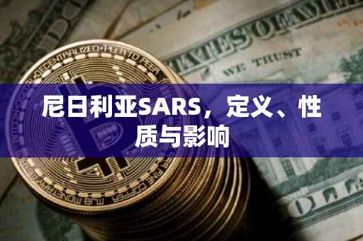 尼日利亚SARS，定义、性质与影响