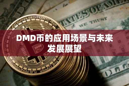 DMD币的应用场景与未来发展展望