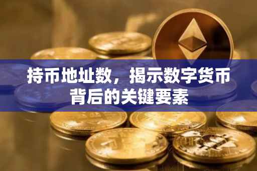 持币地址数，揭示数字货币背后的关键要素