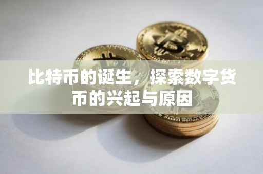 比特币的诞生，探索数字货币的兴起与原因