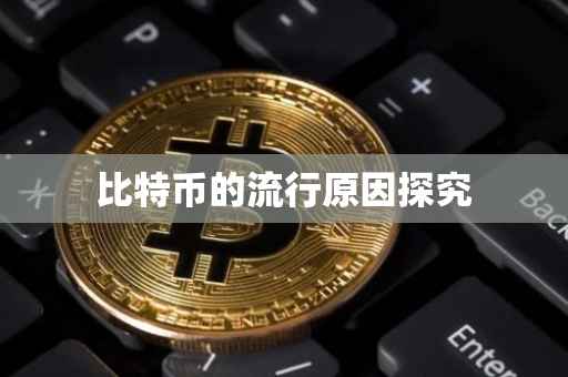 比特币的流行原因探究