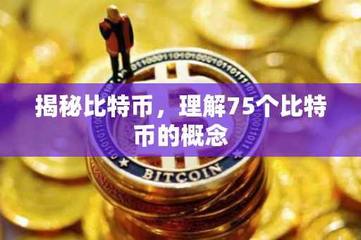 揭秘比特币，理解75个比特币的概念