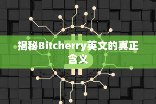 揭秘Bitcherry英文的真正含义